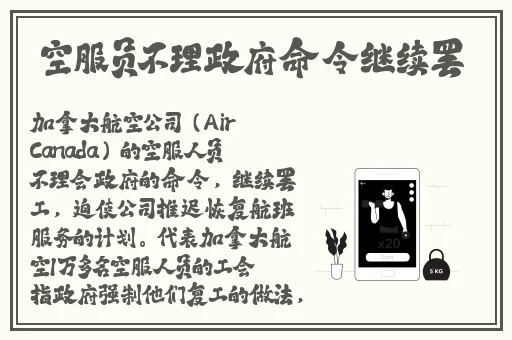 猫爪影像寻小小在线看